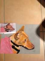 /album/galerie-photos/photo-1064-jpg/